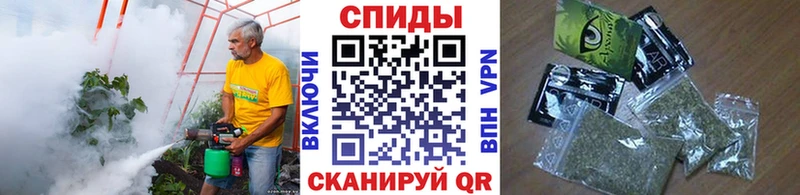Купить закладки  Суровикино  Бутират 1.4BDO 