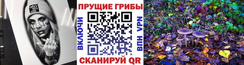 Псилоцибиновые грибы Cubensis  Купить закладки  Суровикино 